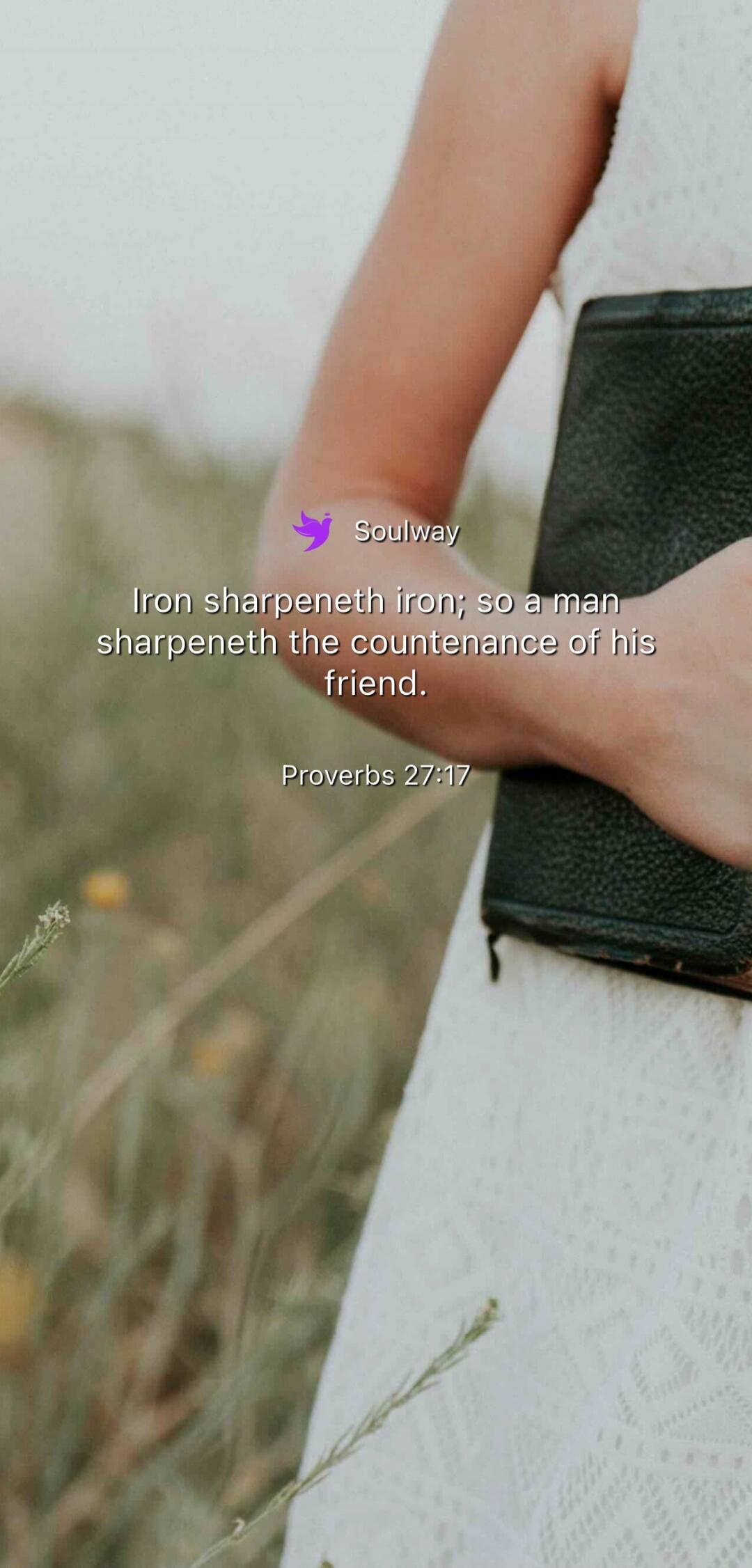 Soulway. Iron sharpeneth iron; so a man sharpeneth the countenance of his friend. Proverbs 27:17