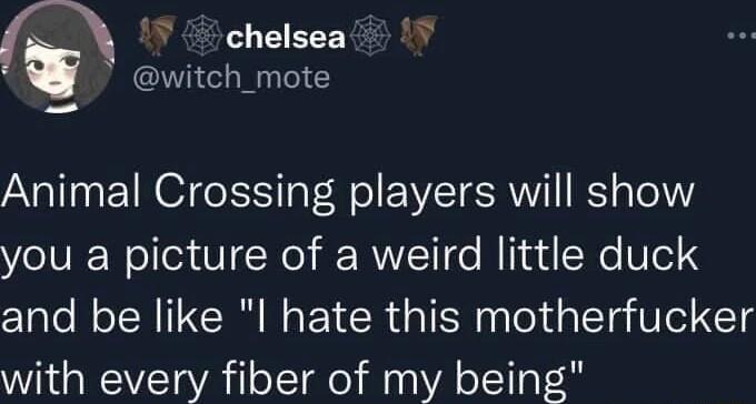 v chelsea w witch_mote Animal Crossing players will show VeIV Wollea 0 Ney RVVLCT To M Iid SWe el 3 and be like I hate this motherfucker with every fiber of my being