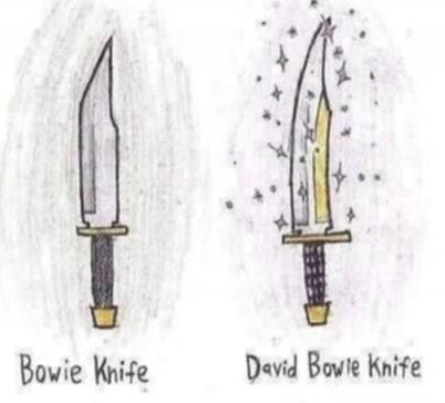 Bowie Knife
David Bowie Knife