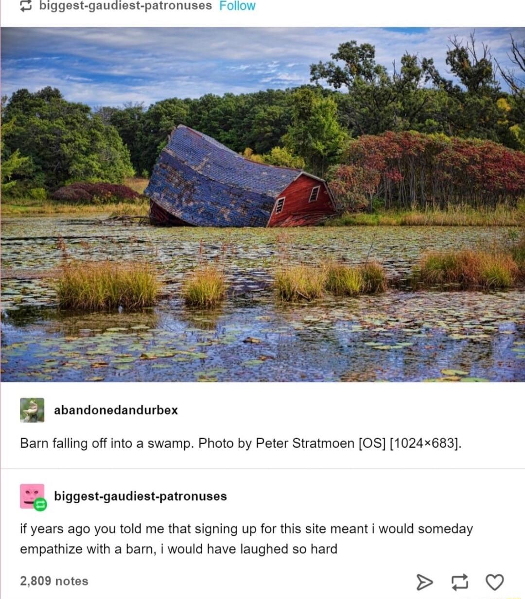 Dgeg B shandormdandurbox Bar falling off into a swamp Photo by Peter Stratmoen OS 1024x683 4 viogestgaudiost patronuse if years ago you told me that signing up for this st meant would someday empathize with bam would have laughed so hard 2809 note