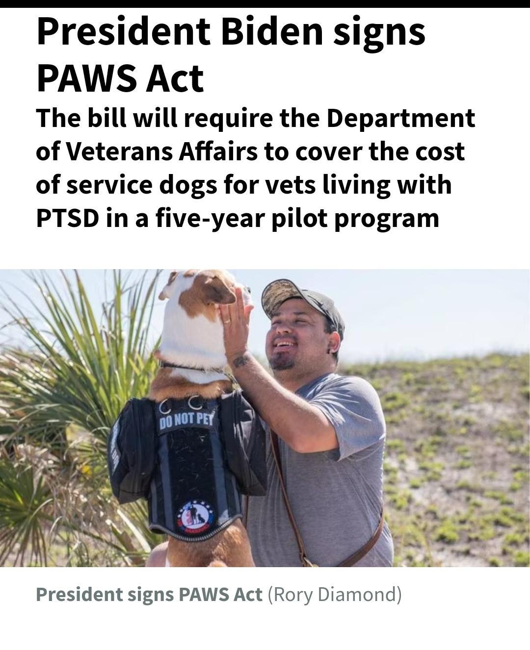 President Biden signs PAWS Act The bill will require the Department of Veterans Affairs to cover the cost of service dogs for vets living with PTSD in a five year pilot program s N AN VR YV A1 N President signs PAWS Act Rory Diamond