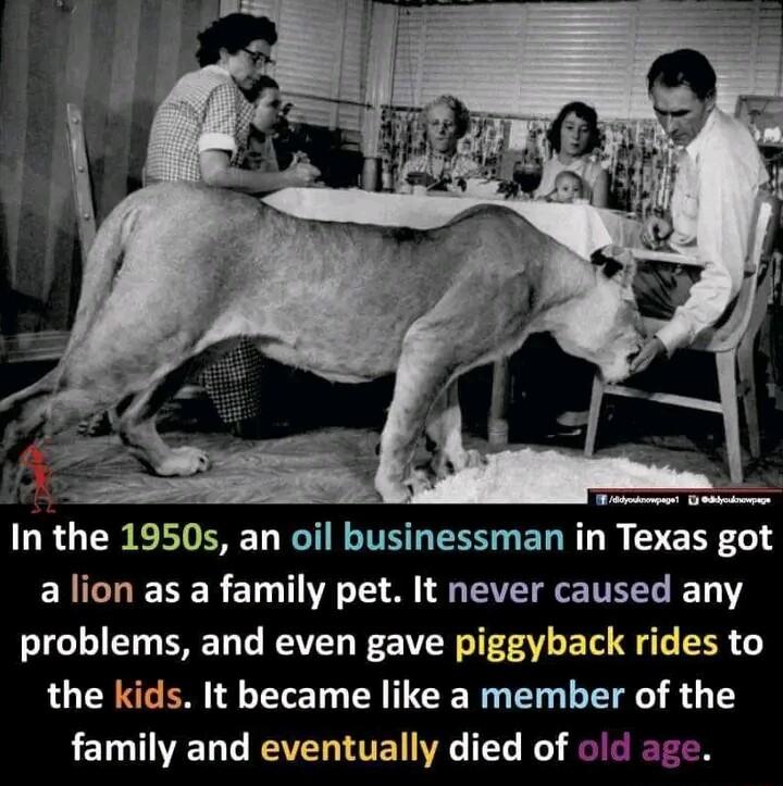 In the 1950s an oil businessman in Texas got ENCTEER 1 T T M RS TR T Y problems and even gave piggyback rides to LLERNGEN T Y TCE NG LT R Y RETTIET T REVERTITET IV T1 B ST
