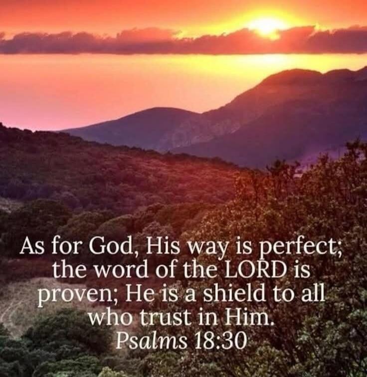 As for God, His way is perfect; the word of the LORD is proven; He is a shield to all who trust in Him. Psalms 18:30