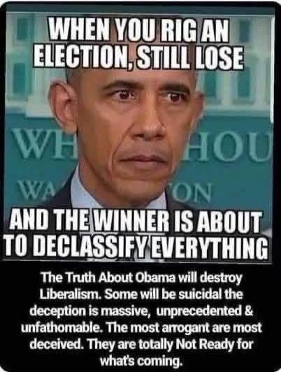WHEN YOU RIG AN ELECTION, STILL LOSE AND THE WINNER IS ABOUT TO DECLASSIFY EVERYTHING. The Truth About Obama will destroy Liberalism. Some will be suicidal the deception is massive, unprecedented & unfathomable. The most arrogant are most deceived. They are totally Not Ready for what's coming.