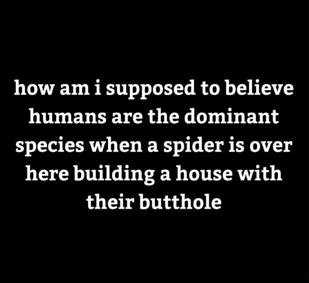 how am i supposed to believe humans are the dominant species when a spider is over here building a house with their butthole