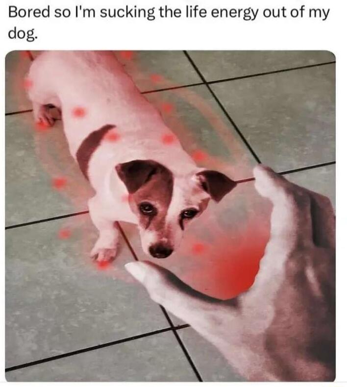 Bored so Im sucking the life energy out of my dog
