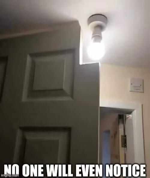 NO ONE WILL EVEN NOTICE