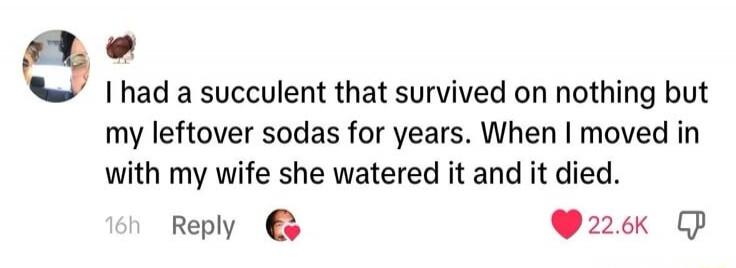 I had a succulent that survived on nothing but my leftover sodas for years. When I moved in with my wife she watered it and it died.