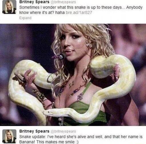 WRnEY Spears 8 onder what this snake is up to these days Any nes alve and name is