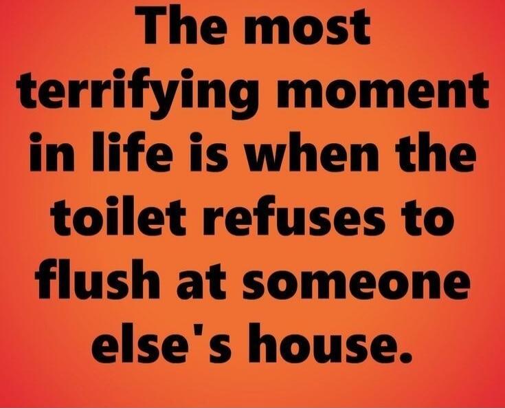 The most terrifying moment in life is when the toilet refuses to flush at someone's else's house.