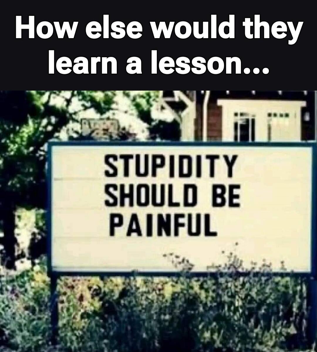 How else would they learn a lesson... 
STUPIDITY SHOULD BE PAINFUL