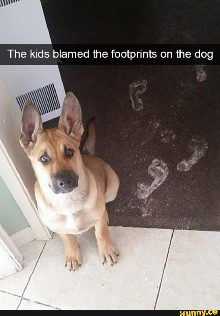 The kids blamed the footprints on the dog