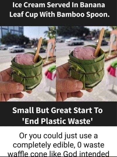 N CET BT LR ET BT E Leaf Cup With Bamboo Spoon Fre Small But Great Start To End Plastic Waste Or you could just use a