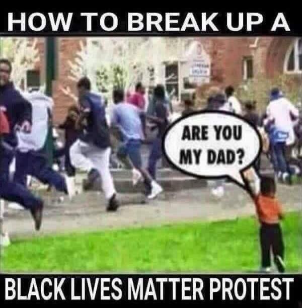 HOW TO BREAK UP A BLACK LIVES MATTER PROTEST ARE YOU MY DAD?