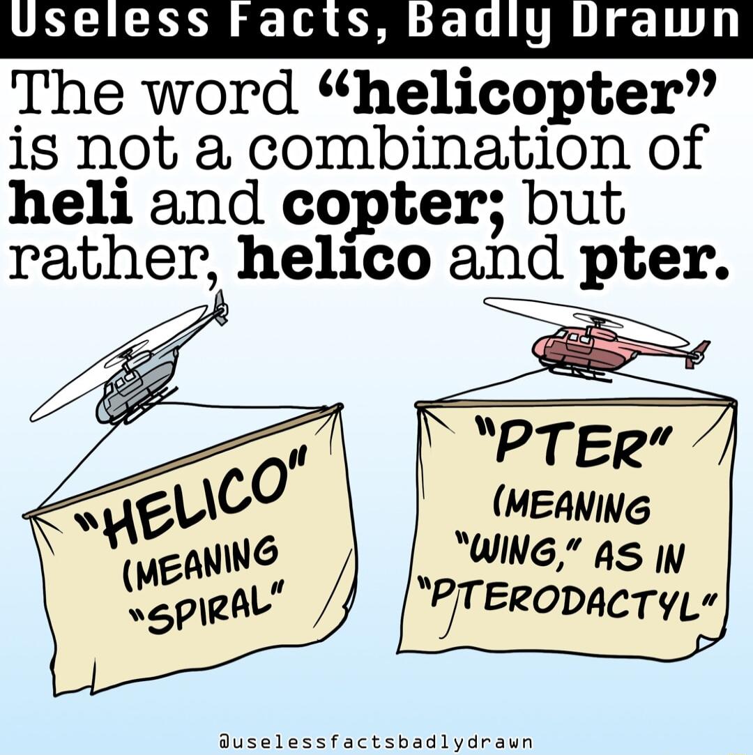 Useless Facts Badly Drawn The word helicopter is not a combination of heli and copter but rather helico and pter MEANING WING A IN PTERODACTYL