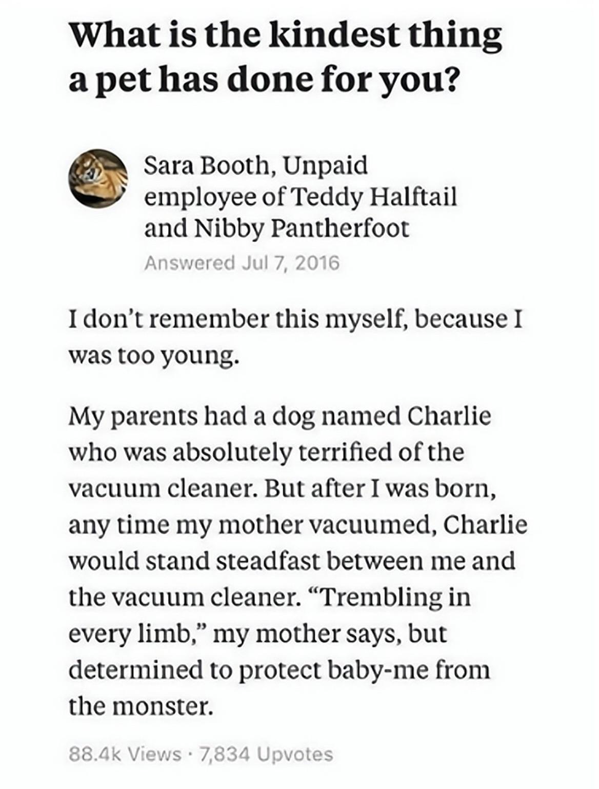What is the kindest thing apet has done for you Sara Booth Unpaid employee of Teddy Halftail and Nibby Pantherfoot Idont remember this myself because I was too young My parents had a dog named Charlie who was absolutely terrified of the vacuum cleaner But after I was born any time my mother vacuumed Charlie would stand steadfast between me and the vacuum cleaner Trembling in every limb my mother s