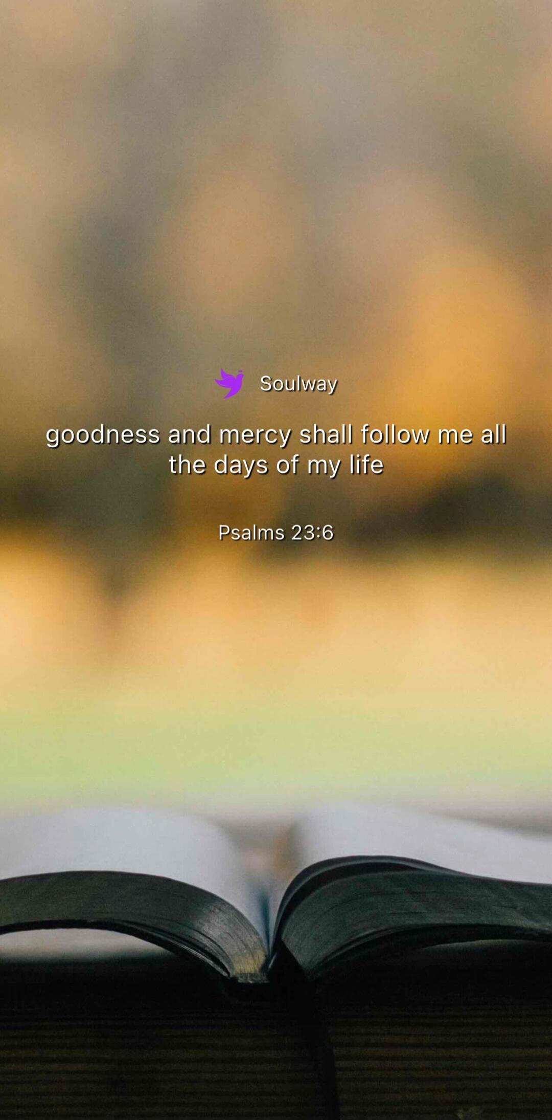 Soulway goodness and mercy shall follow me all the days of my life Psalms 23:6