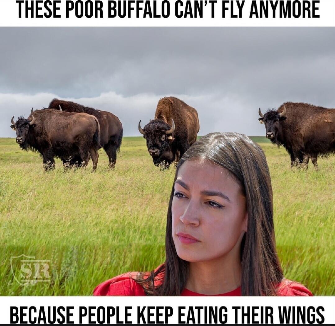 THESE POOR BUFFALO CAN'T FLY ANYMORE BECAUSE PEOPLE KEEP EATING THEIR WINGS