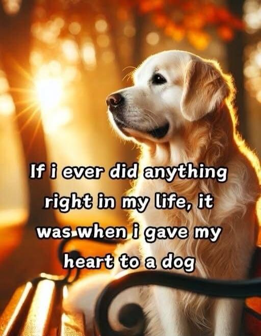 If i ever did anything right in my life, it was when i gave my heart to a dog
