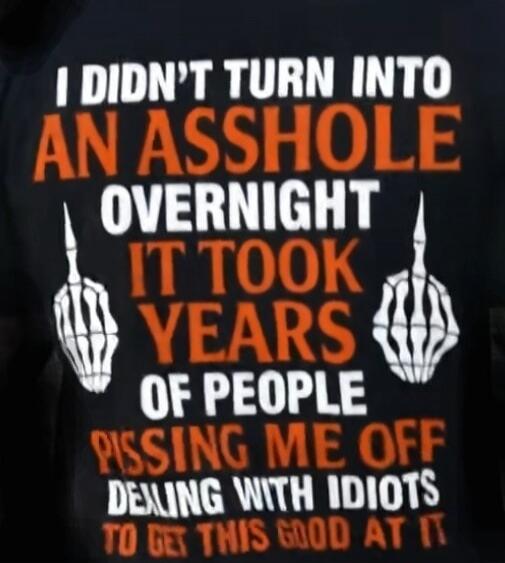 I DIDN'T TURN INTO AN ASSHOLE OVERNIGHT IT TOOK YEARS OF PEOPLE PISSING ME OFF DEALING WITH IDIOTS TO GET THIS GOOD AT IT