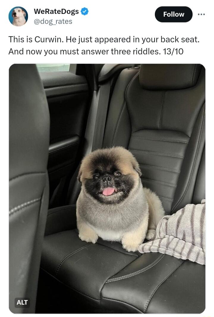 This is Curwin He just appeared in your back seat And now you must answer three riddles 1310