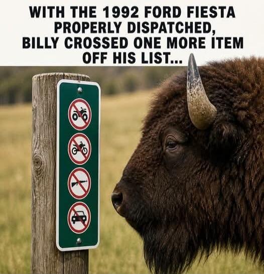 WITH THE 1992 FORD FIESTA PROPERLY DISPATCHED, BILLY CROSSED ONE MORE ITEM OFF HIS LIST...
