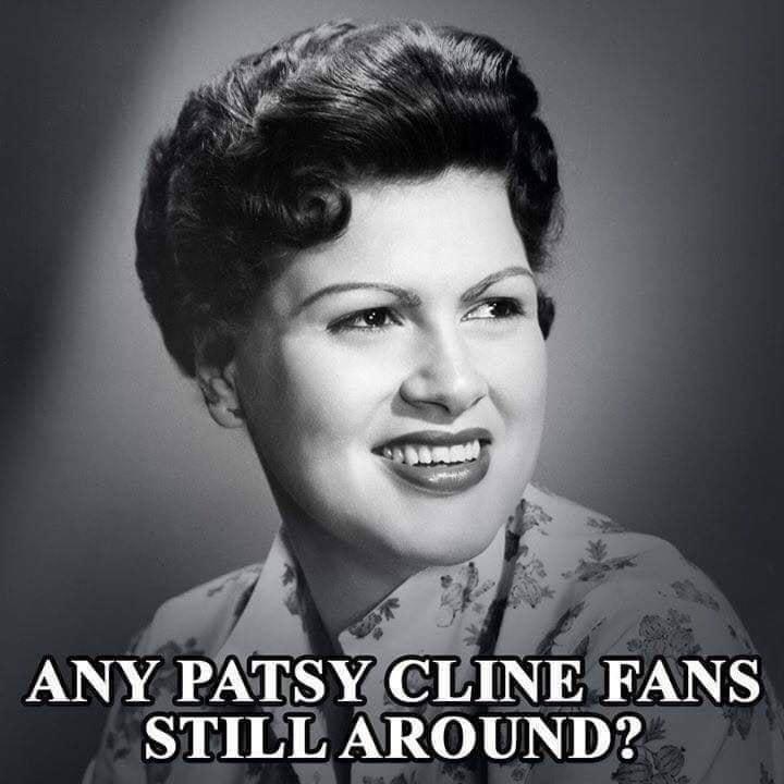 3 ANY PATSYCLINE FANS N3 0 B DN 230 1 OBV D Jes