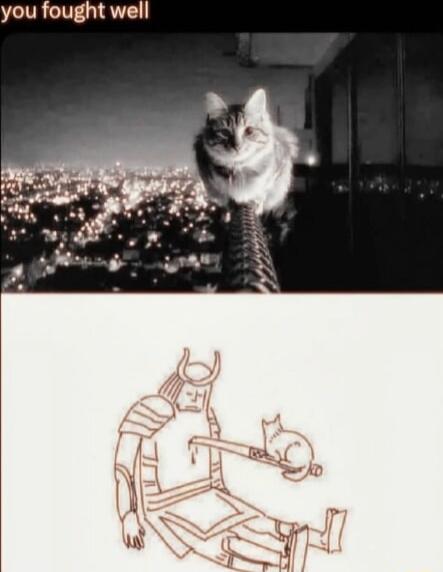 you fought well