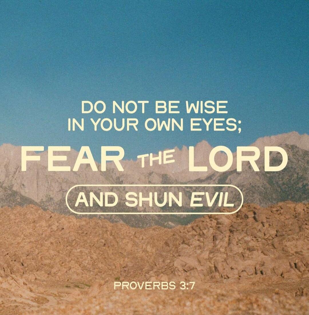 DO NOT BE WISE IN YOUR OWN EYES; FEAR THE LORD AND SHUN EVIL PROVERBS 3:7