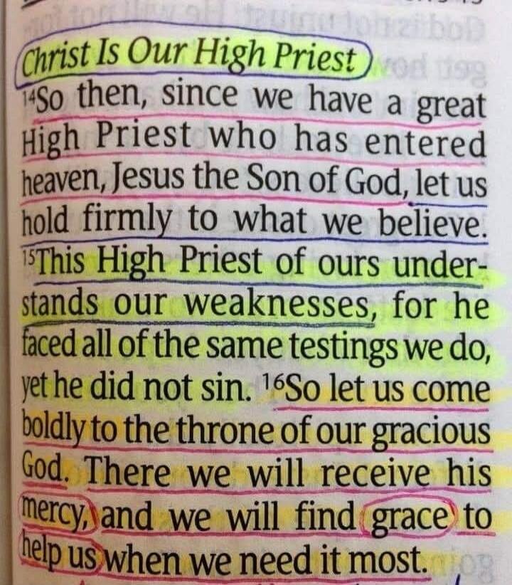Christ Is Our High Priest
So then, since we have a great High Priest who has entered heaven, Jesus the Son of God, let us hold firmly to what we believe.
This High Priest of ours understands our weaknesses, for he faced all of the same temptations we do, yet he did not sin.
So let us come boldly to the throne of our gracious God. There we will rece