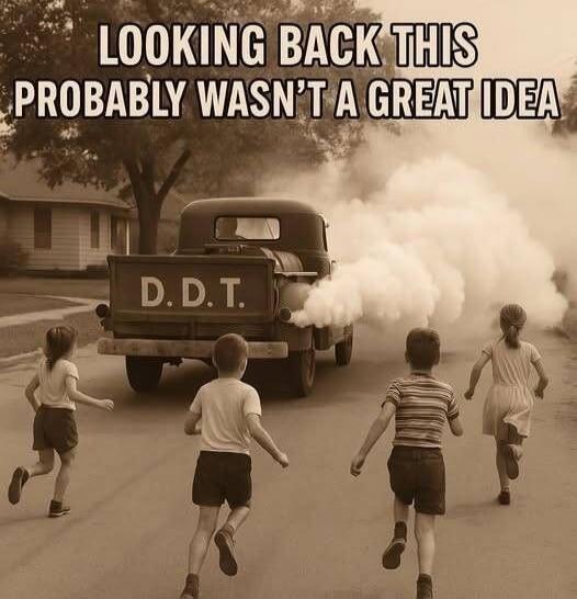 LOOKING BACK THIS PROBABLY WASN'T A GREAT IDEA. D.D.T.