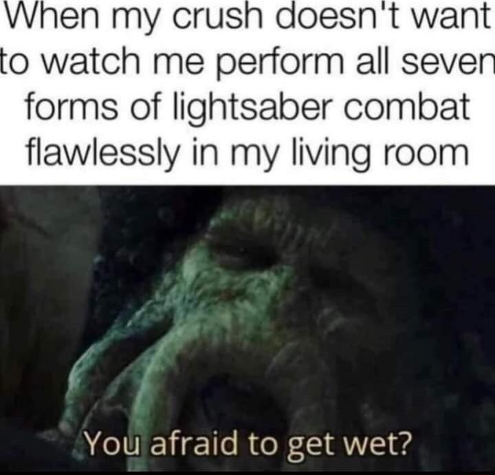 When my crus o watch me perform all seve forms of lightsaber combat flawlessly in my living room Youafraid to get wet