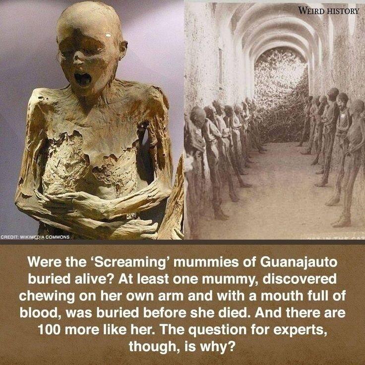 o o p i A CER GRS EET TR T TR I elTER ETETN G buried alive At least one mummy discovered chewing on her own arm and with a mouth full of blood was buried before she died And there are RO CIEY Y BT AR G TES D R GTES T QLTI R ERVT g