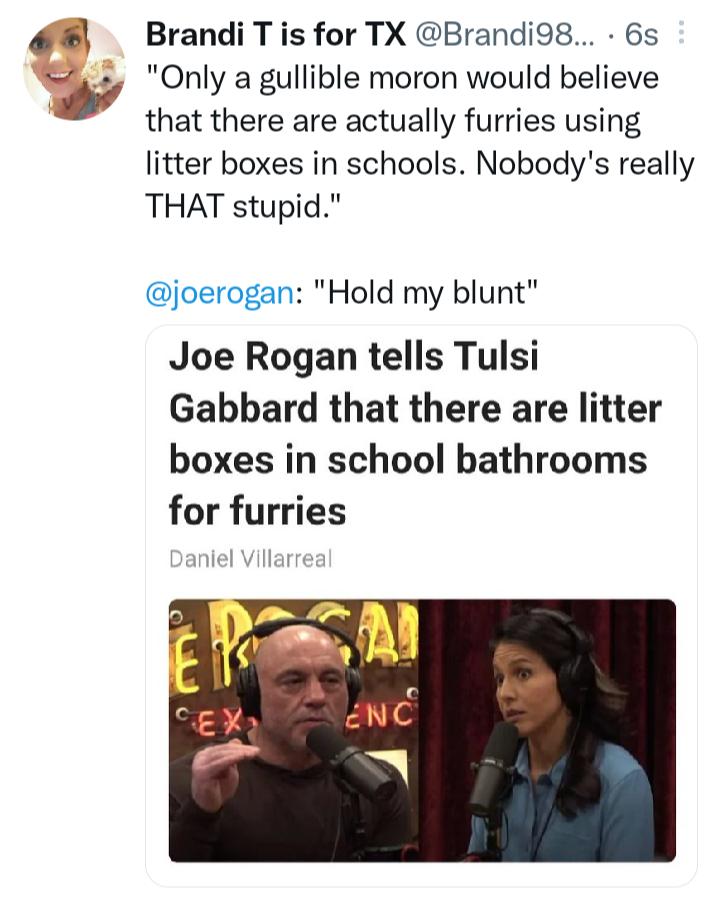 4 Brandi T is for TX Brandi98 6s Only a gullible moron would believe that there are actually furries using litter boxes in schools Nobodys really THAT stupid joerogan Hold my blunt Joe Rogan tells Tulsi Gabbard that there are litter boxes in school bathrooms for furries