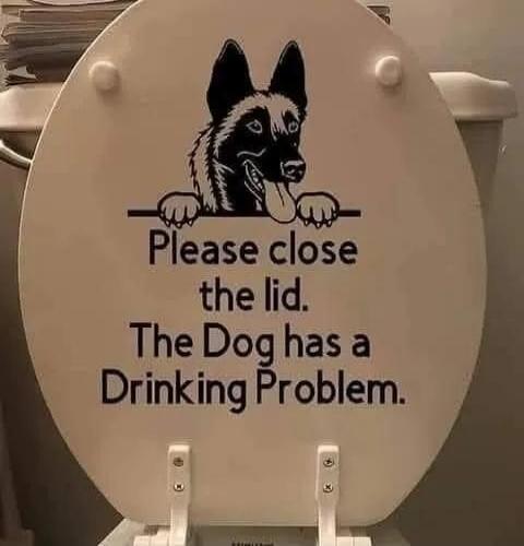 Please close the lid. The Dog has a Drinking Problem.
