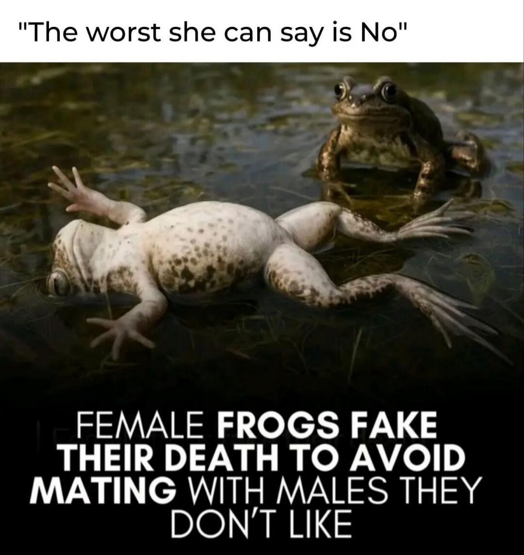 The worst she can say is No. FEMALE FROGS FAKE THEIR DEATH TO AVOID MATING WITH MALES THEY DON'T LIKE.