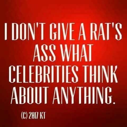 DONT GIVEARATS ASS WHAT CELEBRITIES THINK ABOUT ANYTHING C 2017 KT