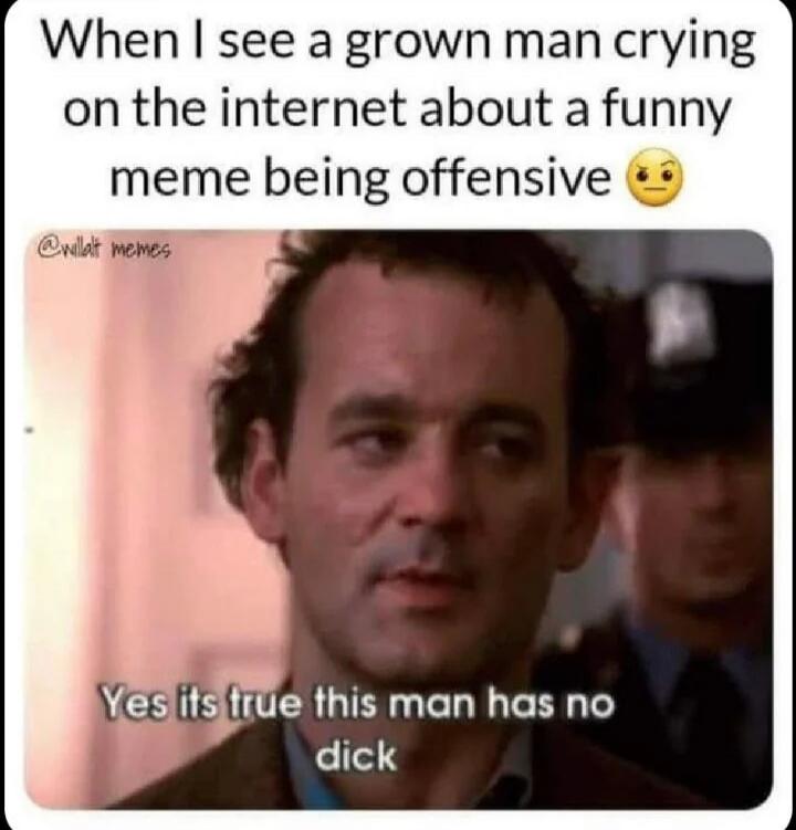 When I see a grown man crying on the internet about a funny meme being offensive 😒 Yes its true this man has no dick
