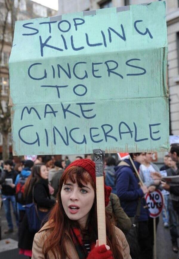 F Ly 1 R GINGERS R AYE l E O NGERPLE L 7 e