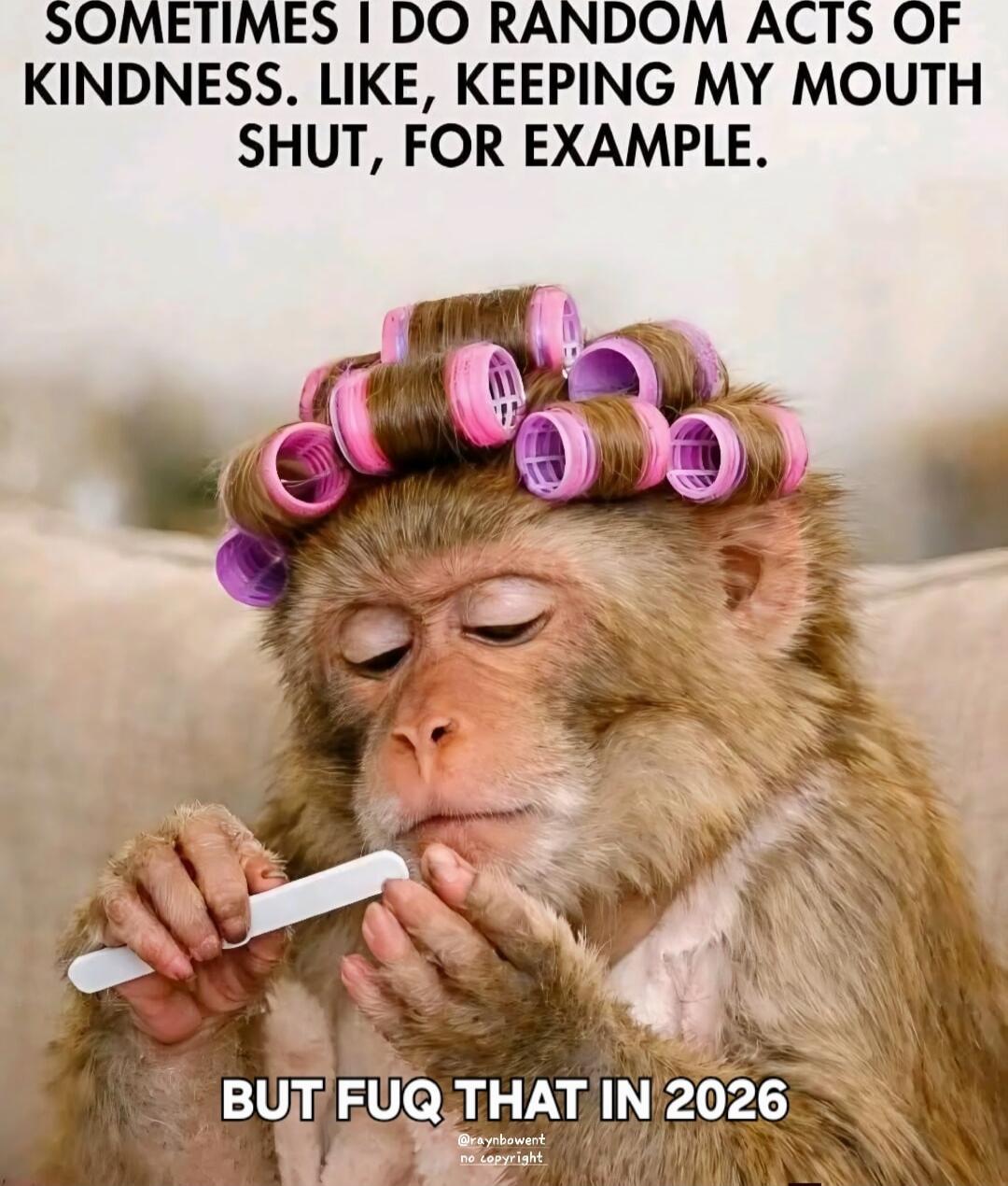 SOMETIMES I DO RANDOM ACTS OF KINDNESS. LIKE, KEEPING MY MOUTH SHUT, FOR EXAMPLE. BUT FUQ THAT IN 2026