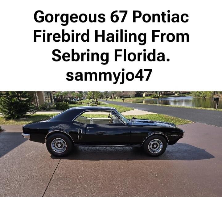 Gorgeous 67 Pontiac Firebird Hailing From Sebring Florida. sammvjo47