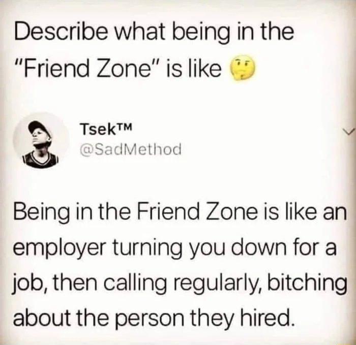 Describe what being in the Friend Zone is like Tsek aSadMethod Being in the Friend Zone is like an employer turning you down for a job then calling regularly bitching about the person they hired J