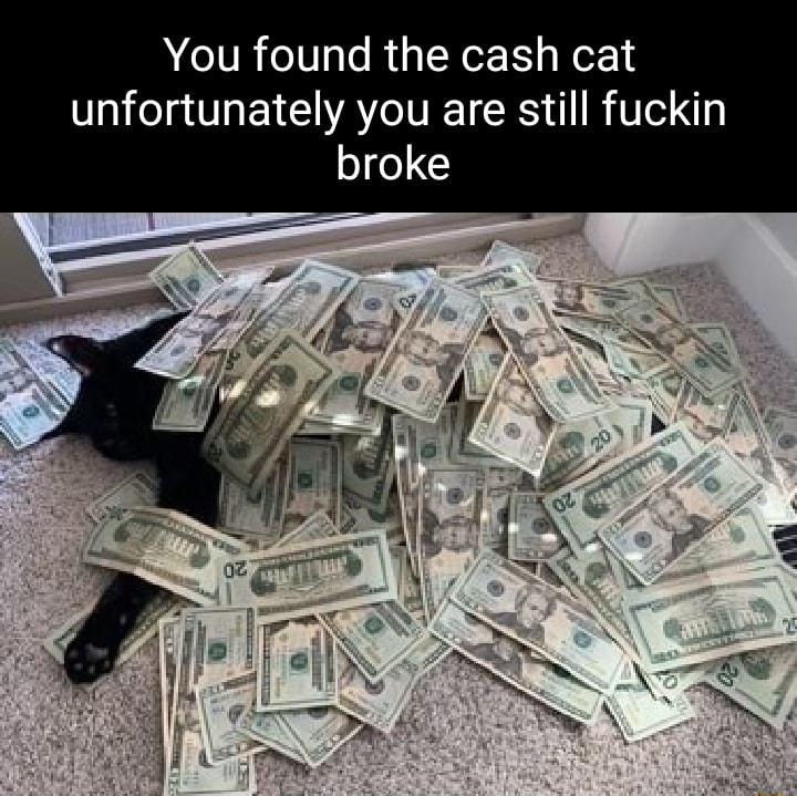 You found the cash cat unfortunately you are still fuckin broke
