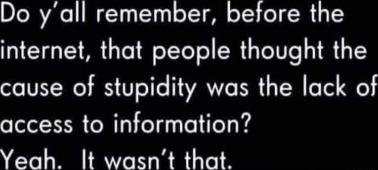 DJBAe T TT Lo ToT g T TR L T internet that people thought the cause of stupidity was the lack of access to information Yeah It wasnt that