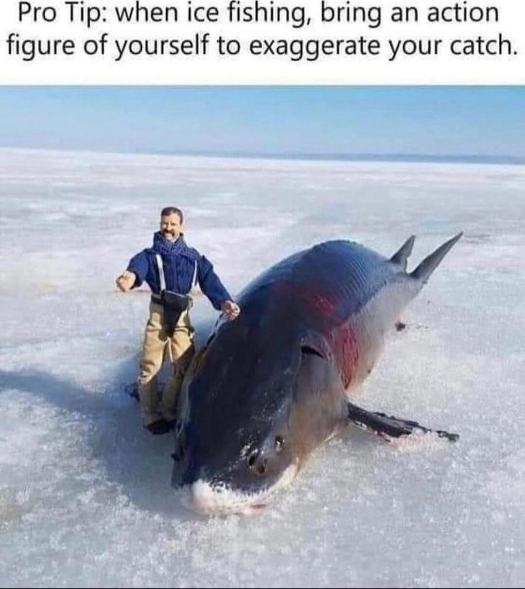 Pro Tip when ice fishing bring an action figure of yourself to exaggerate your catch TrE
