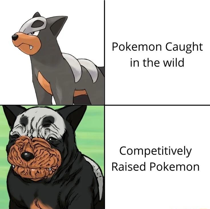 Pokemon Caught in the wild Competitively Raised Pokemon