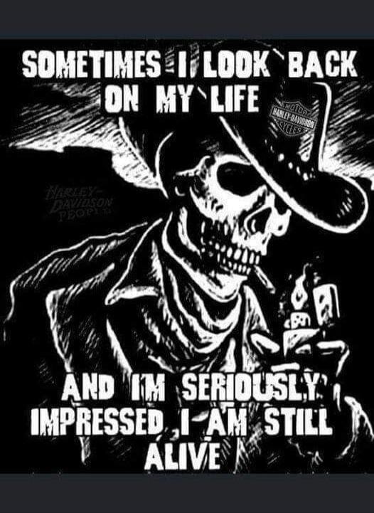SOMETIMES I LOOK BACK ON MY LIFE AND I'M SERIOUSLY IMPRESSED I AM STILL ALIVE. HARLEY-DAVIDSON PEOPLE. MOTOR HARLEY-DAVIDSON CYCLES.