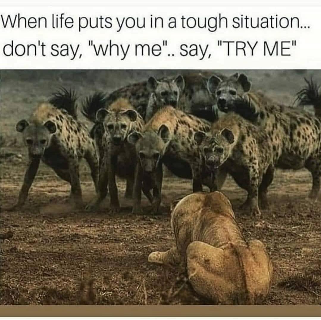 When life puts you in a tough situation... don't say, 