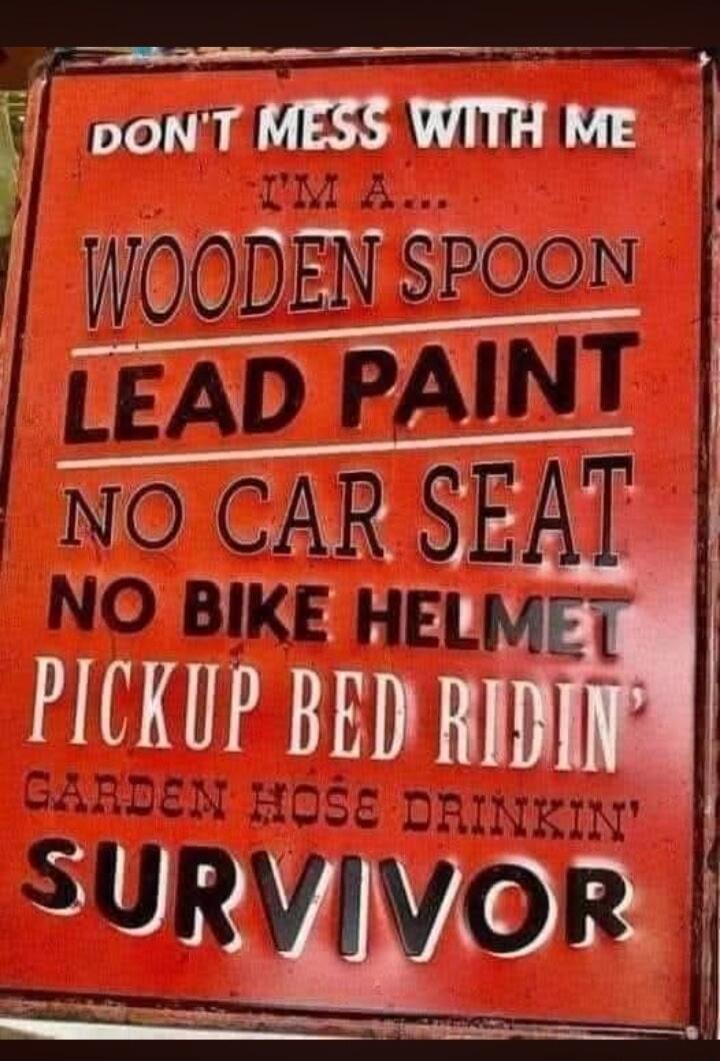 DON'T MESS WITH ME I'M A... WOODEN SPOON LEAD PAINT NO CAR SEAT NO BIKE HELMET PICKUP BED RIDIN' GARDEN HOSE DRINKIN' SURVIVOR