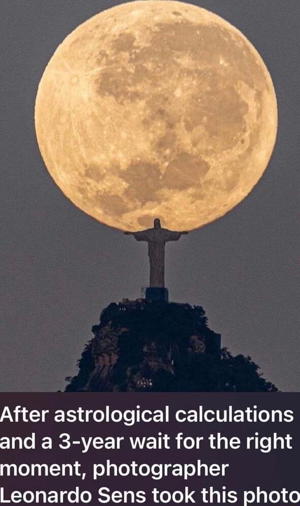 AN YR o oTe o Wer F ETi o 15 1 o RS IRVEETATTET o 3 TN gle o moment photographer Leonardo Sens took this photo